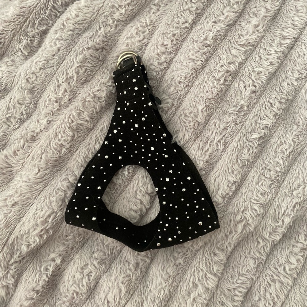 Susan Lanci Stardust Step in Harness